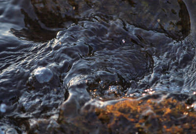 片山滋啓　Shigehiro Katayama 